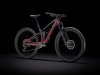 Trek Fuel EX 9.8 GX ML 29 Raw Carbon/Rage Red