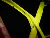 Trek Madone SLR 9 AXS 56 Radioactive Coral to Yellow Fa