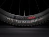 Trek Supercaliber 9.9 XTR XL Matte Raw Carbon/Gloss Tre