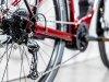 Trek Allant+ 5 M Rage Red 545WH